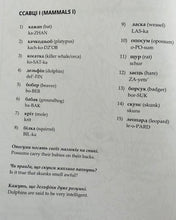 Load image into Gallery viewer, Ukrainian Picture Dictionary Coloring Book