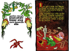 Load image into Gallery viewer, Війна Грибів Ukrainian