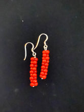 Load image into Gallery viewer, Nina Lapchyk assorted coral earrings