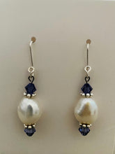 Load image into Gallery viewer, New! Tania Snihur silver sculptural earrings
